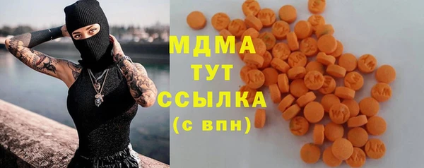 индика Богданович